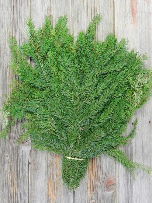 NOBLE FIR BOUGHS 40# CHRISTMAS GREENS